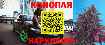 герыч Бердск