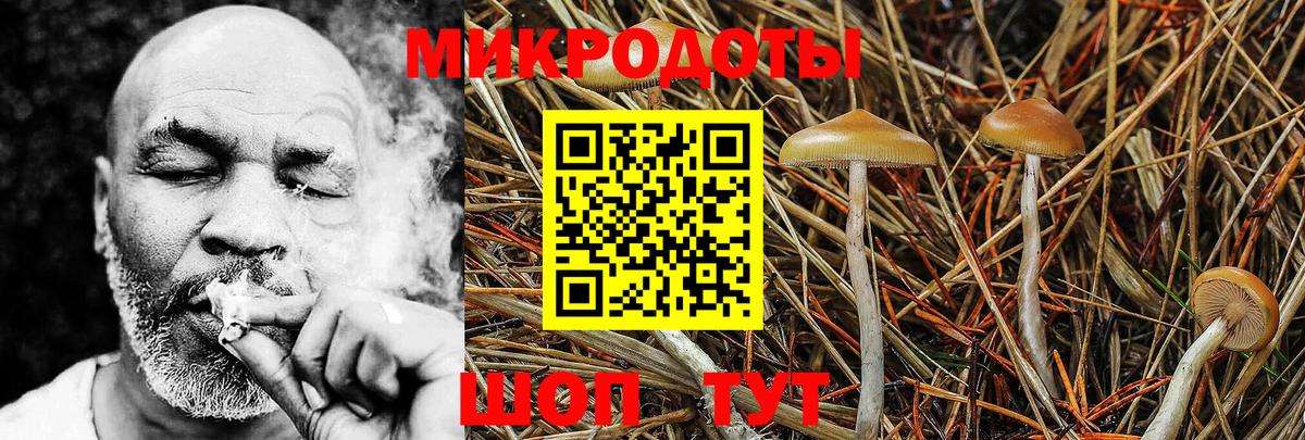 Галлюциногенные грибы Magic Shrooms Богородицк