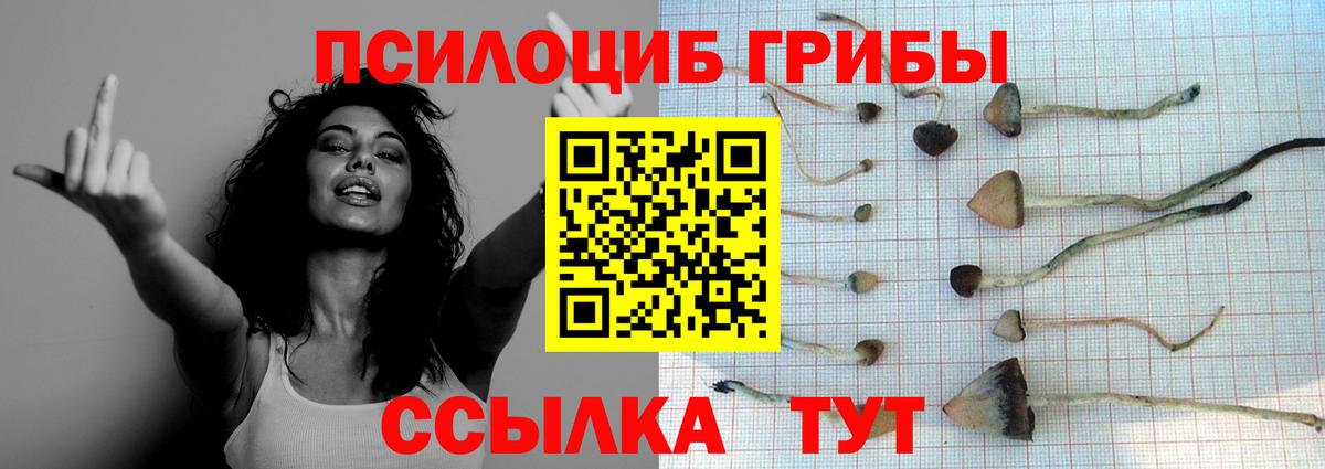 Галлюциногенные грибы ЛСД  Псилоцибиновые грибы Magic Shrooms  Вход с VPN  Богородицк 